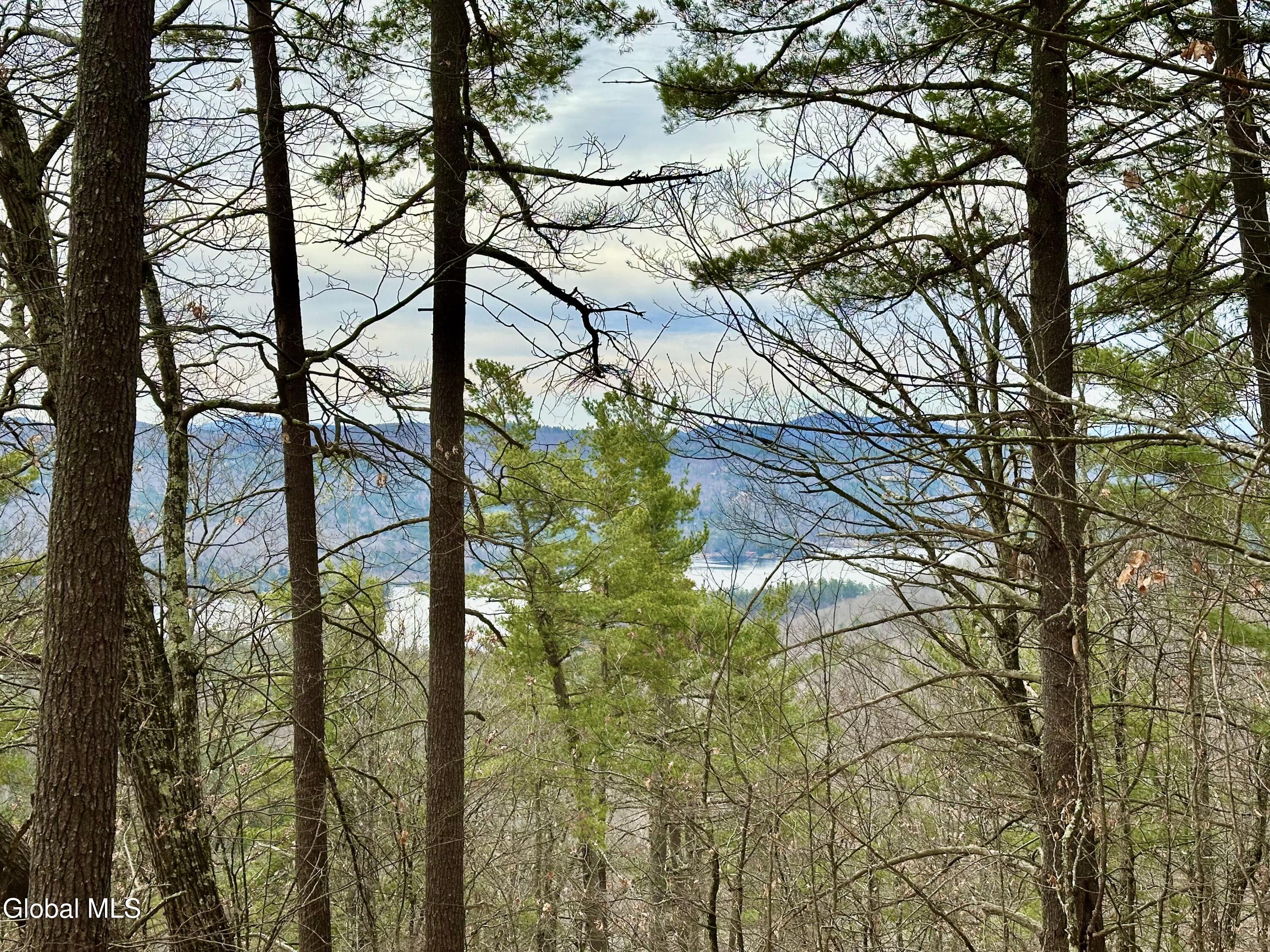 1 S Ike Hayes Road Brant Lake NY 12815