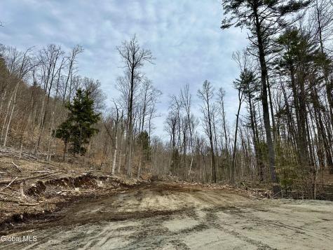 1 S Ike Hayes Road Brant Lake NY 12815