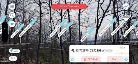 1 S Ike Hayes Road Brant Lake NY 12815