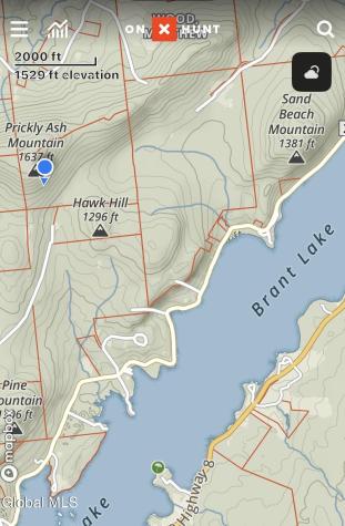 1 S Ike Hayes Road Brant Lake NY 12815