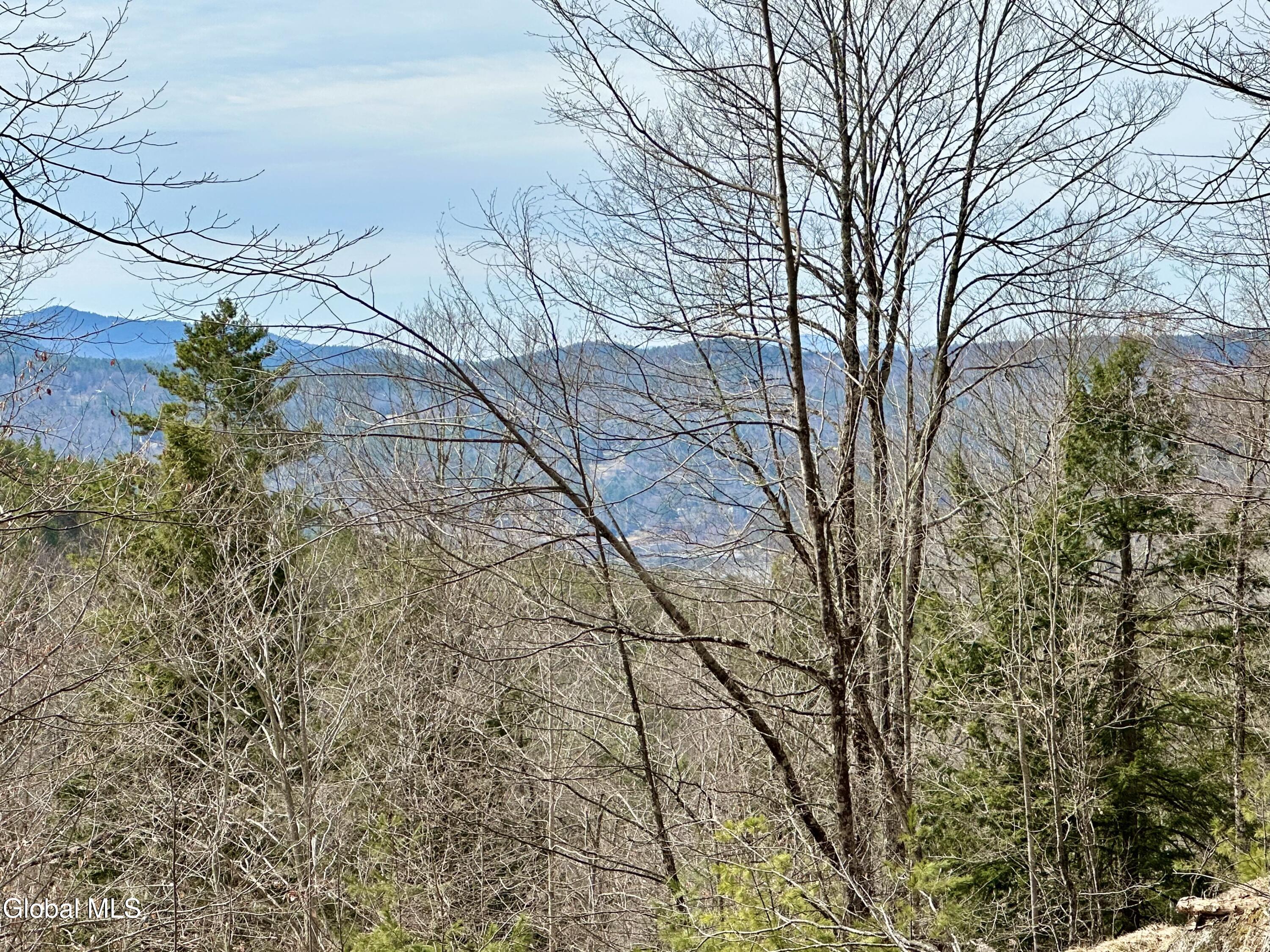 1 S Ike Hayes Road Brant Lake NY 12815
