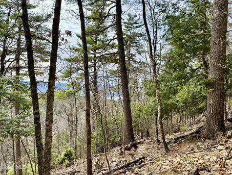 1 S Ike Hayes Road Brant Lake NY 12815