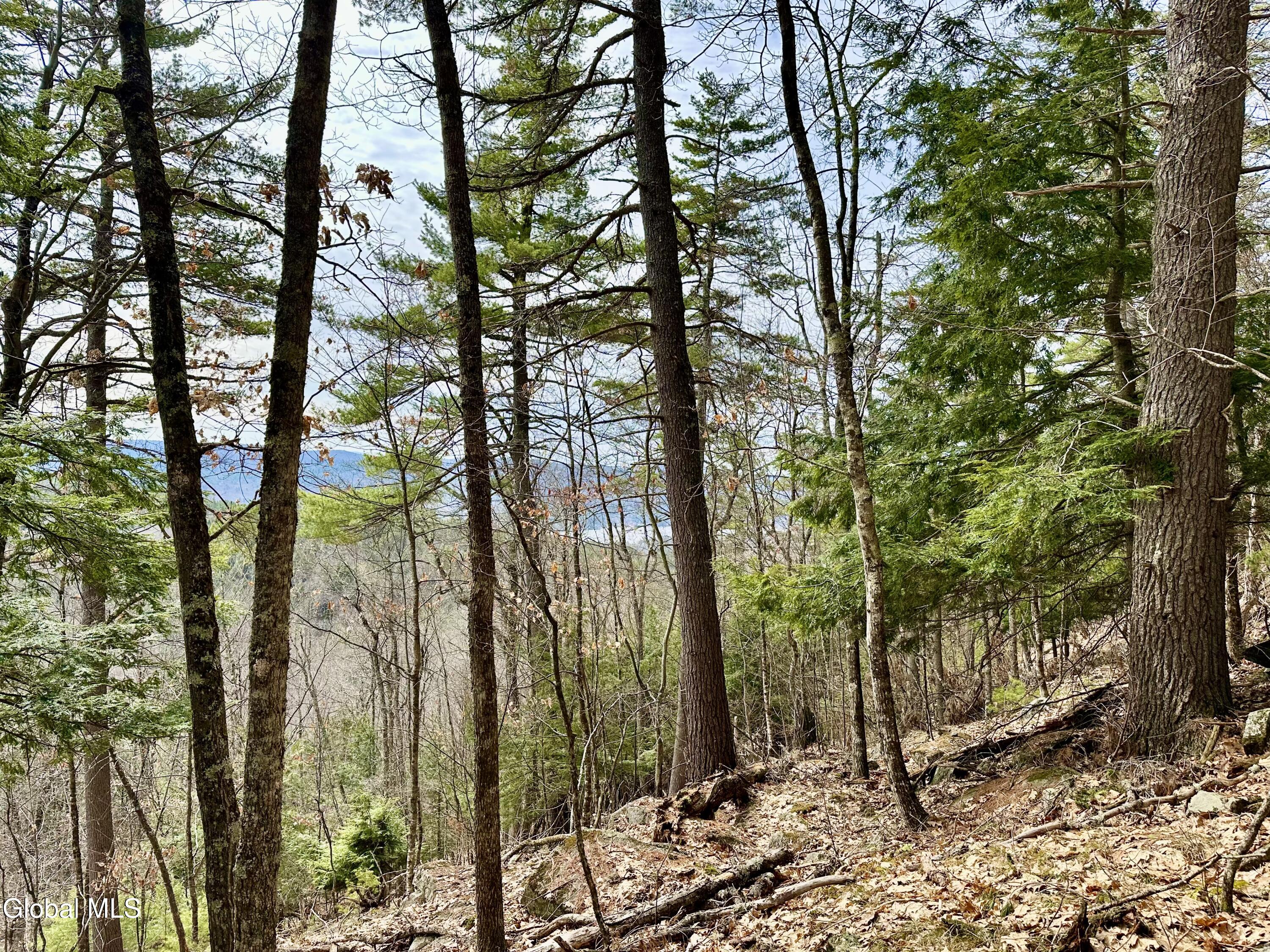 1 S Ike Hayes Road Brant Lake NY 12815