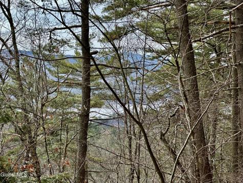 1 S Ike Hayes Road Brant Lake NY 12815