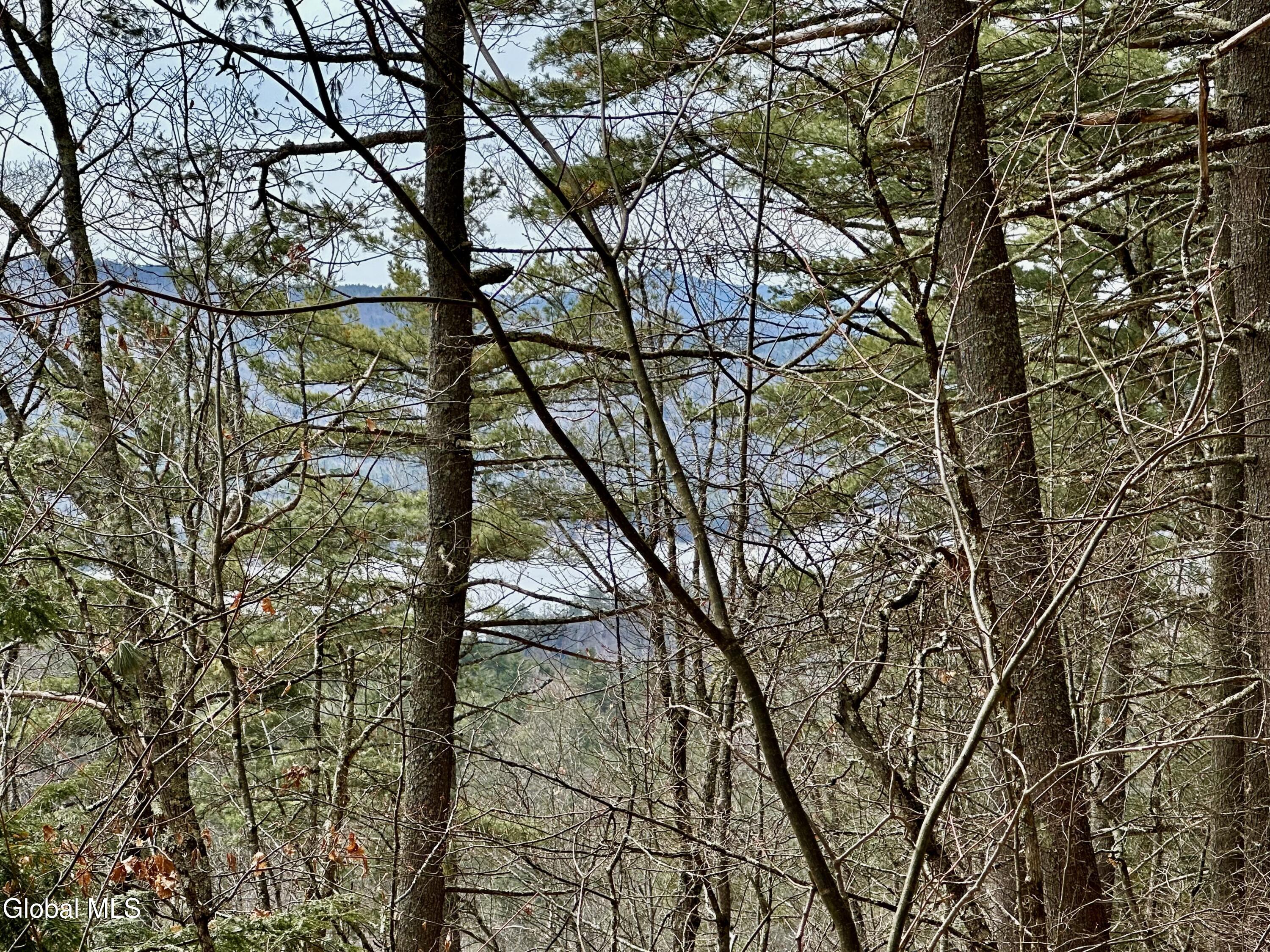 1 S Ike Hayes Road Brant Lake NY 12815