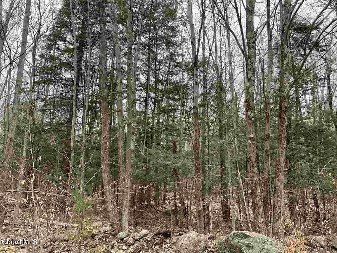 404 Toad Point Road Petersburgh NY 12138