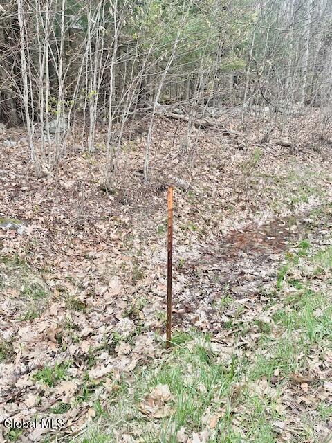 404 Toad Point Road Petersburgh NY 12138