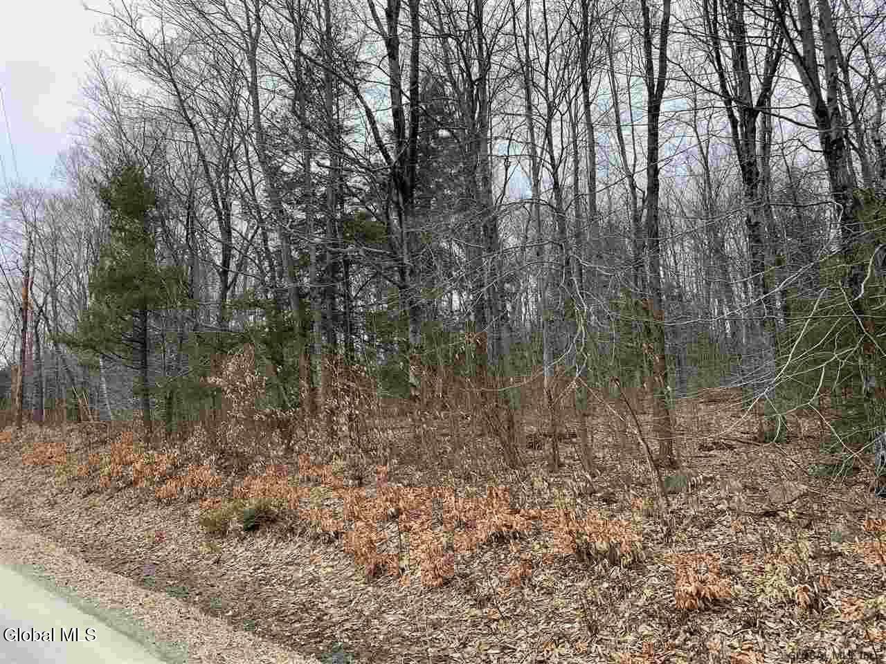 404 Toad Point Road Petersburgh NY 12138