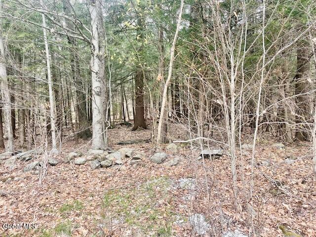 404 Toad Point Road Petersburgh NY 12138