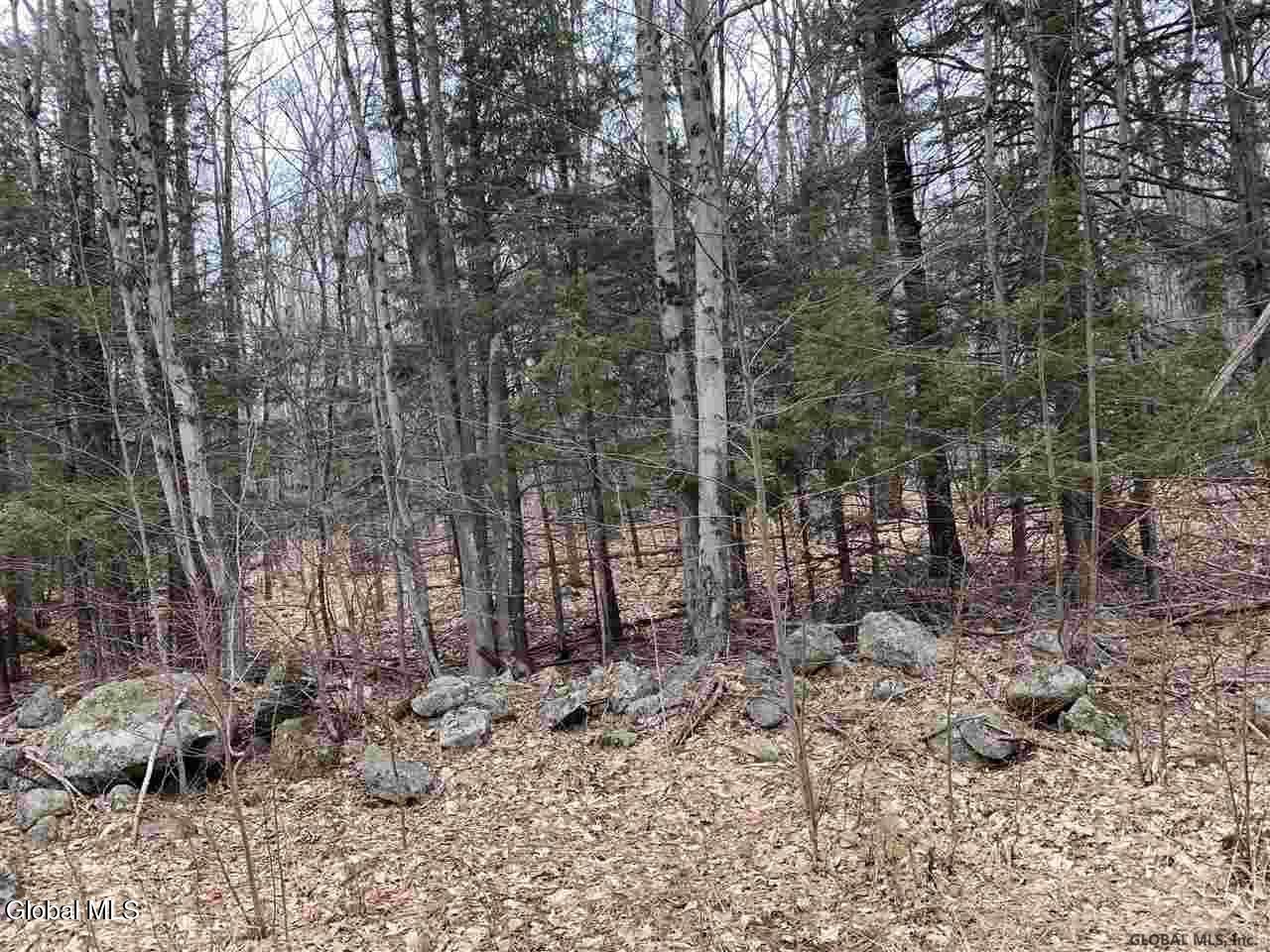 404 Toad Point Road Petersburgh NY 12138