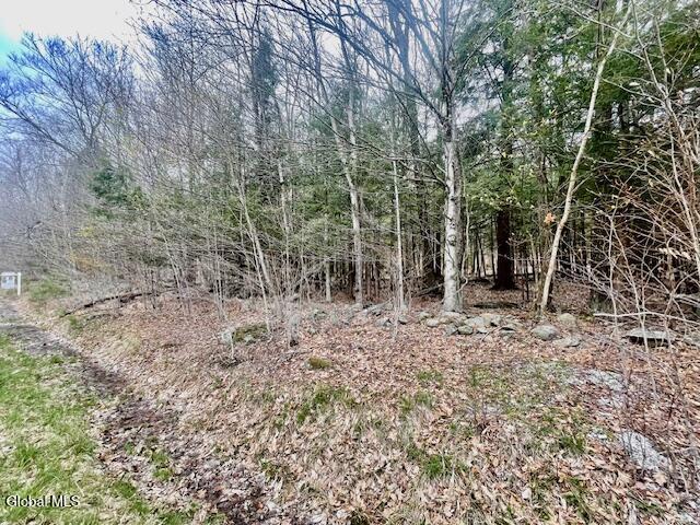 404 Toad Point Road Petersburgh NY 12138