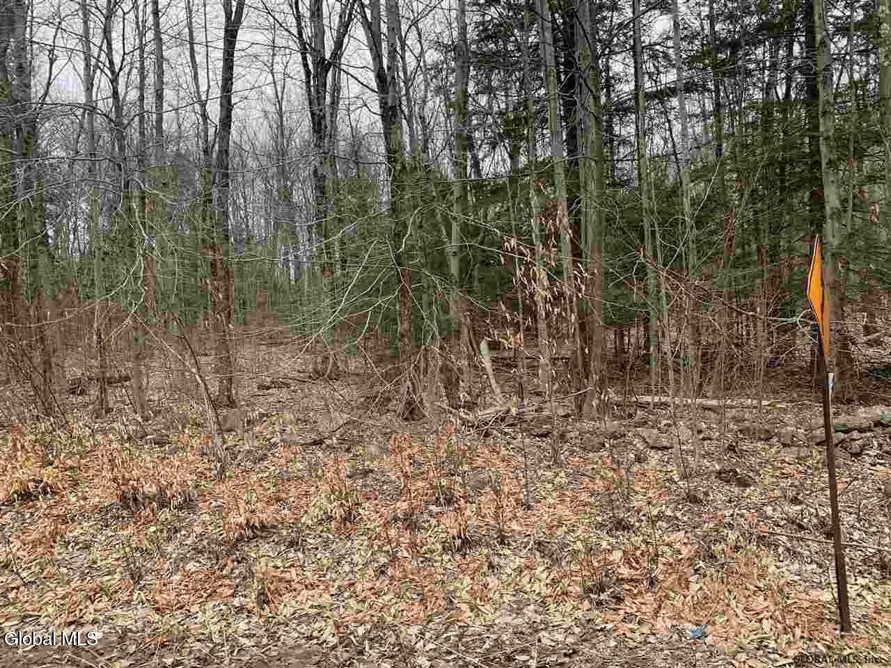404 Toad Point Road Petersburgh NY 12138