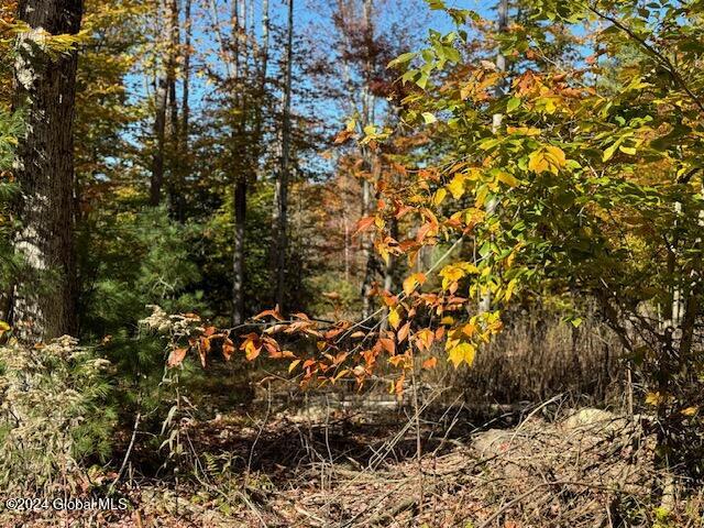 30 Vanare Lane Lake Luzerne NY 12846