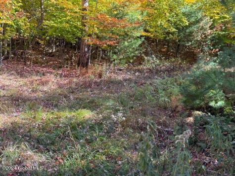 30 Vanare Lane Lake Luzerne NY 12846