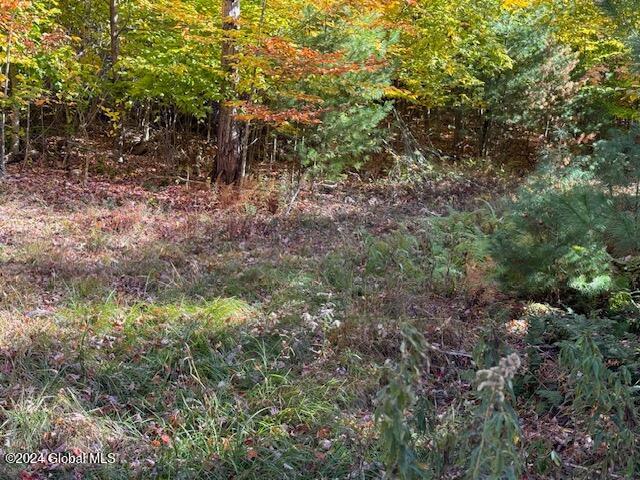 30 Vanare Lane Lake Luzerne NY 12846