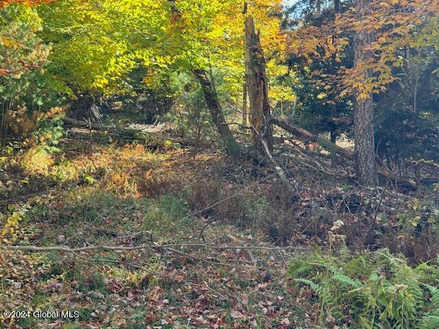 30 Vanare Lane Lake Luzerne NY 12846
