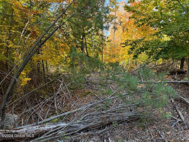 30 Vanare Lane Lake Luzerne NY 12846
