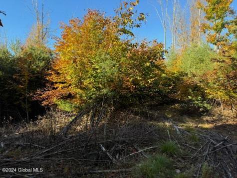 30 Vanare Lane Lake Luzerne NY 12846