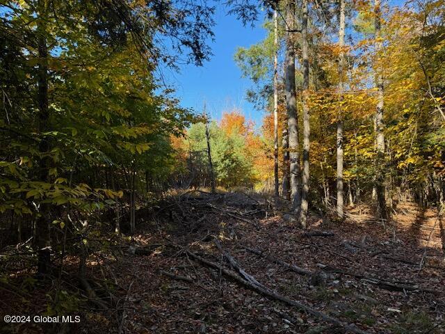 30 Vanare Lane Lake Luzerne NY 12846