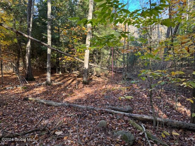 30 Vanare Lane Lake Luzerne NY 12846