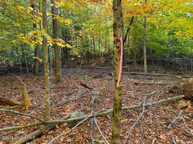 30 Vanare Lane Lake Luzerne NY 12846