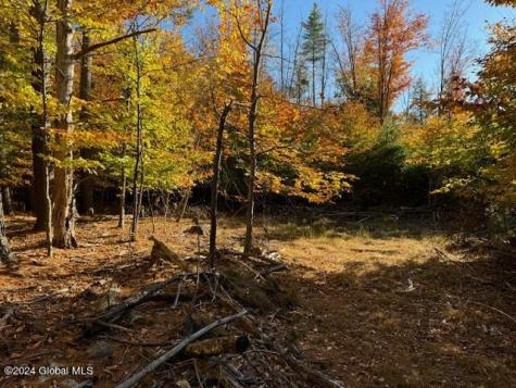 30 Vanare Lane Lake Luzerne NY 12846