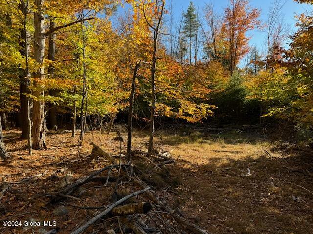 30 Vanare Lane Lake Luzerne NY 12846