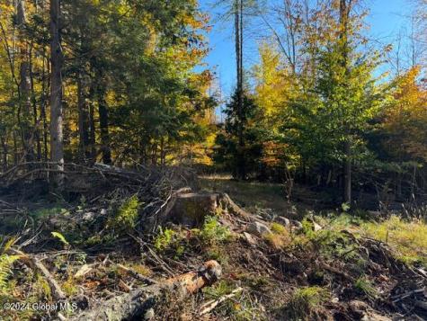 30 Vanare Lane Lake Luzerne NY 12846