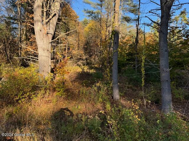30 Vanare Lane Lake Luzerne NY 12846