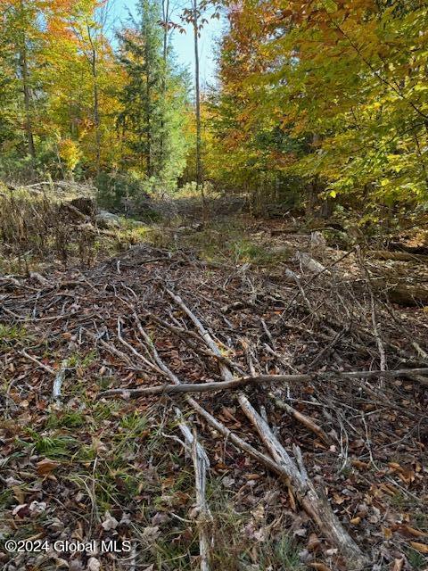 30 Vanare Lane Lake Luzerne NY 12846