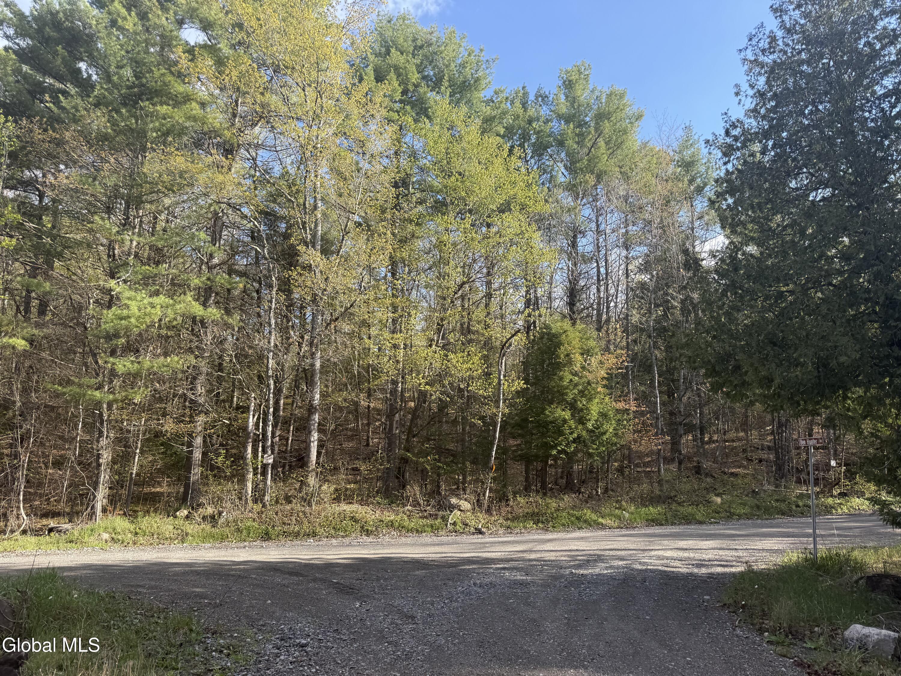 Lot 3,5.1, Stoney Lonesome Road Crown Point NY 12928