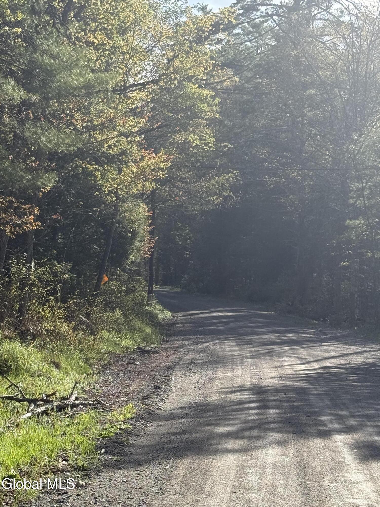 Lot 3,5.1, Stoney Lonesome Road Crown Point NY 12928