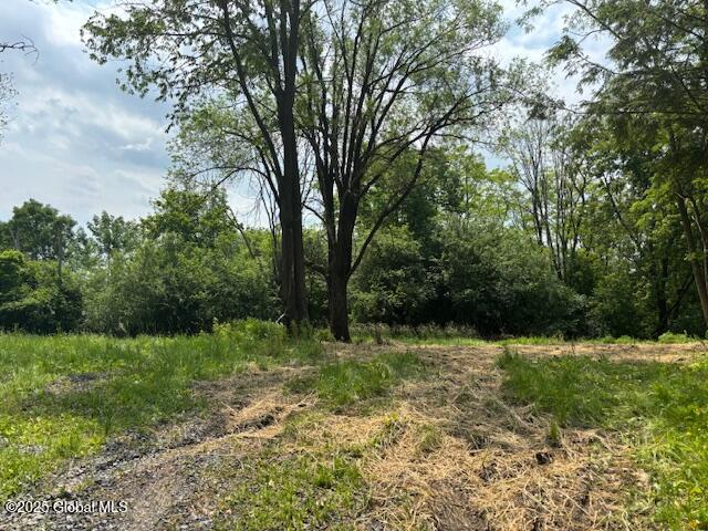 1741 Scotch Ridge Road Princetown NY 12056
