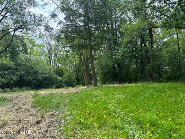 1741 Scotch Ridge Road Princetown NY 12056