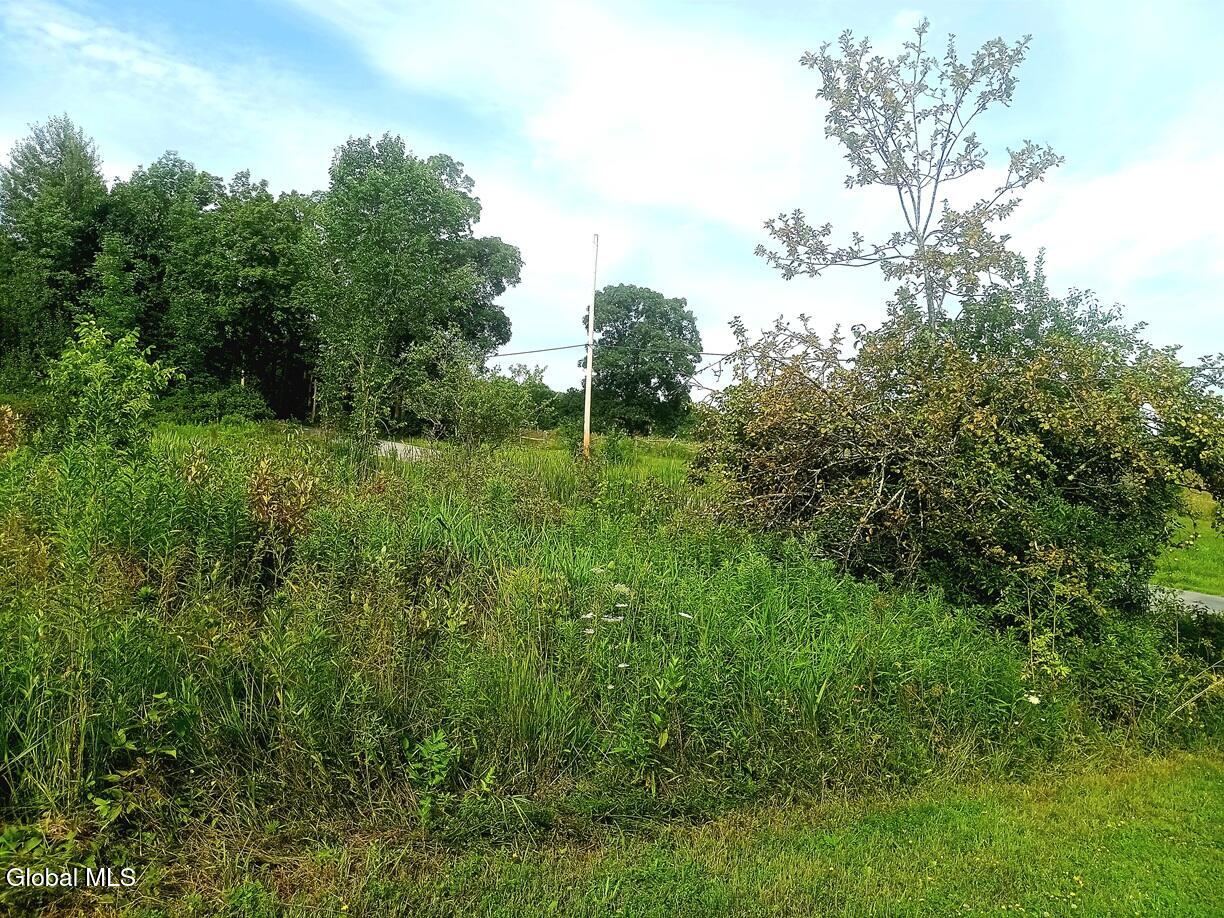 1585 Carlton Road Whitehall NY 12887