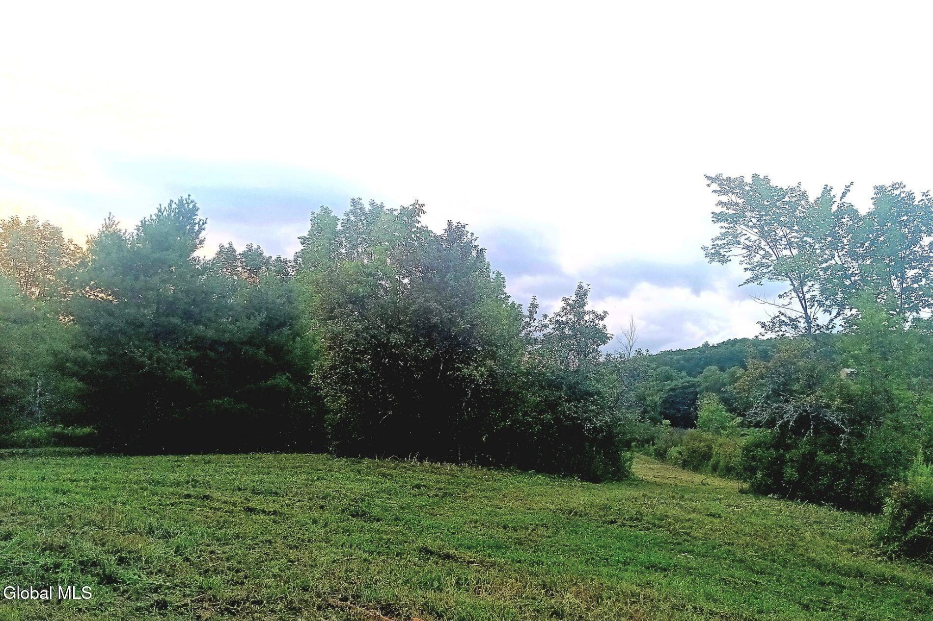 1585 Carlton Road Whitehall NY 12887