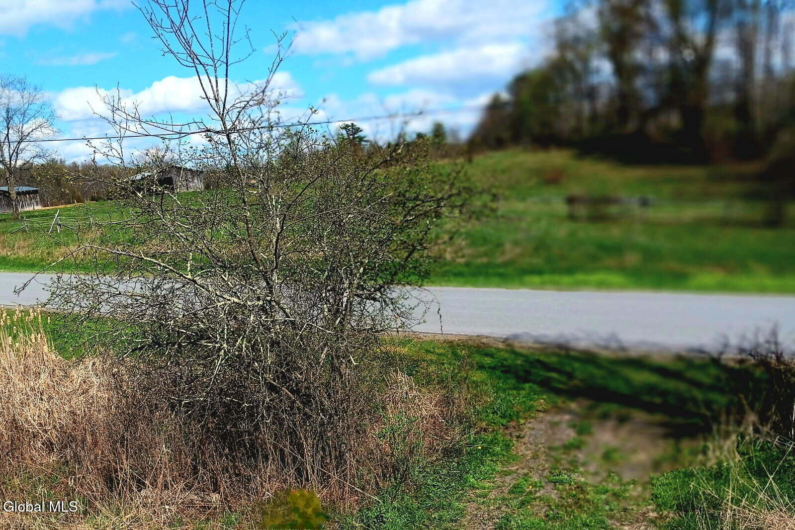1585 Carlton Road Whitehall NY 12887