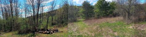 1585 Carlton Road Whitehall NY 12887