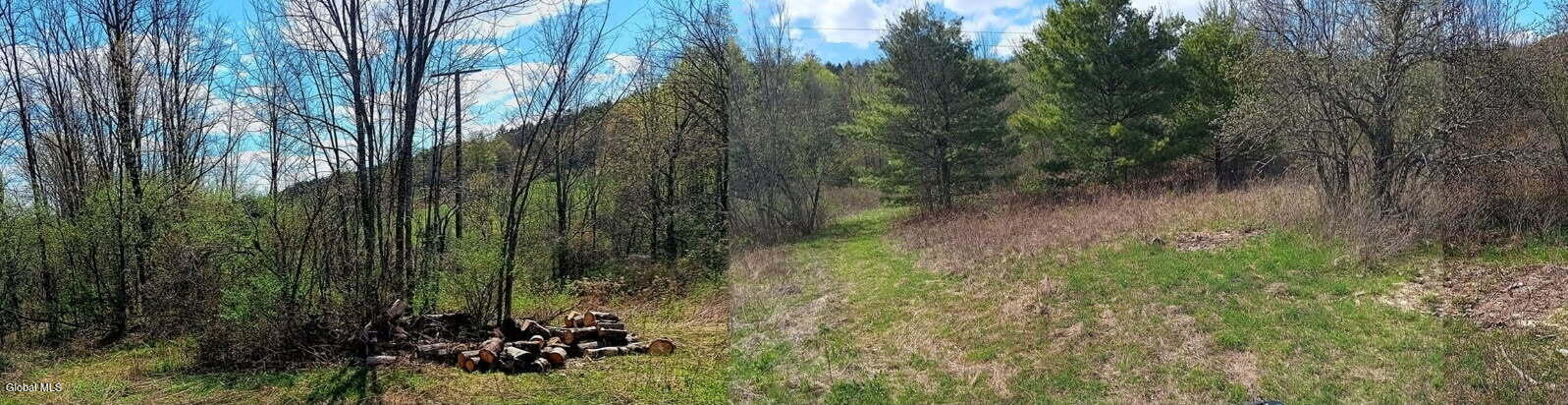 1585 Carlton Road Whitehall NY 12887