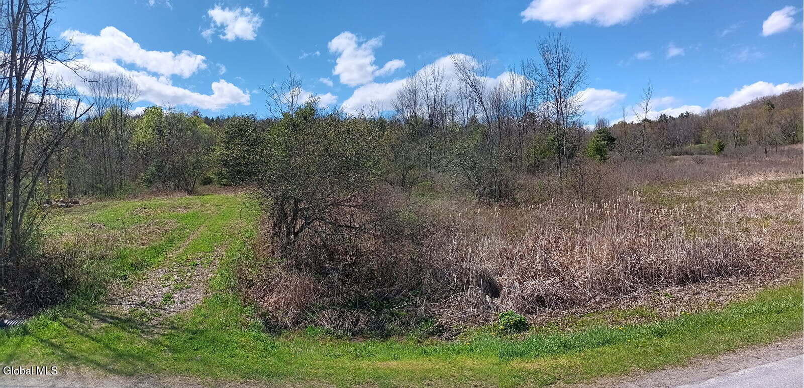 1585 Carlton Road Whitehall NY 12887