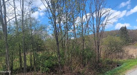 1585 Carlton Road Whitehall NY 12887