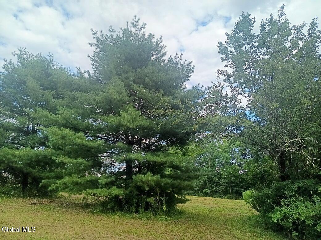 1585 Carlton Road Whitehall NY 12887