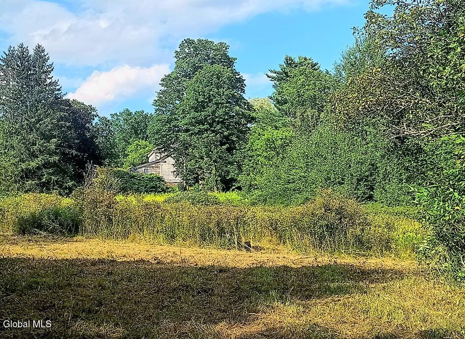 1585 Carlton Road Whitehall NY 12887