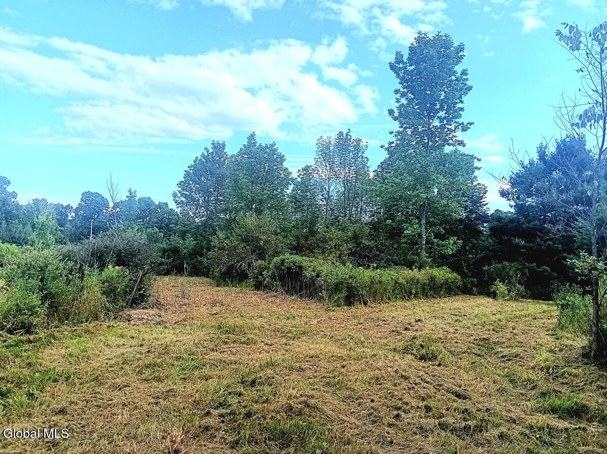 1585 Carlton Road Whitehall NY 12887