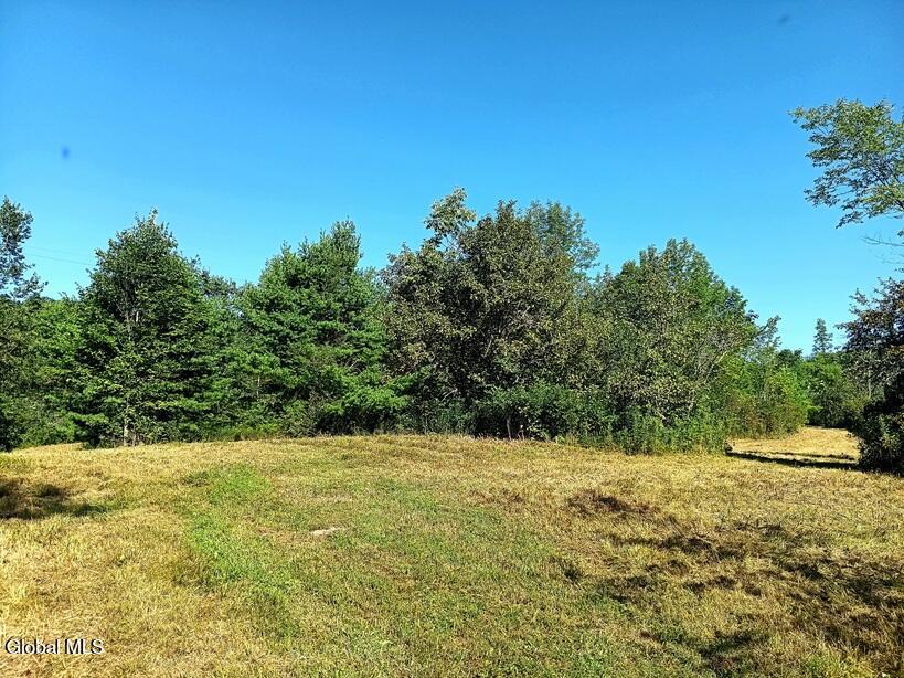 1585 Carlton Road Whitehall NY 12887