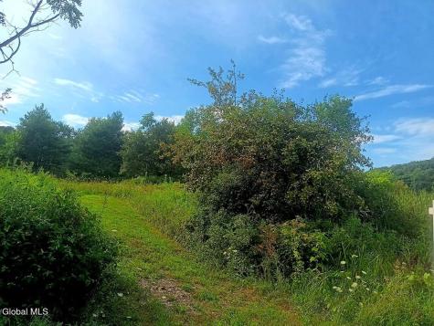 1585 Carlton Road Whitehall NY 12887