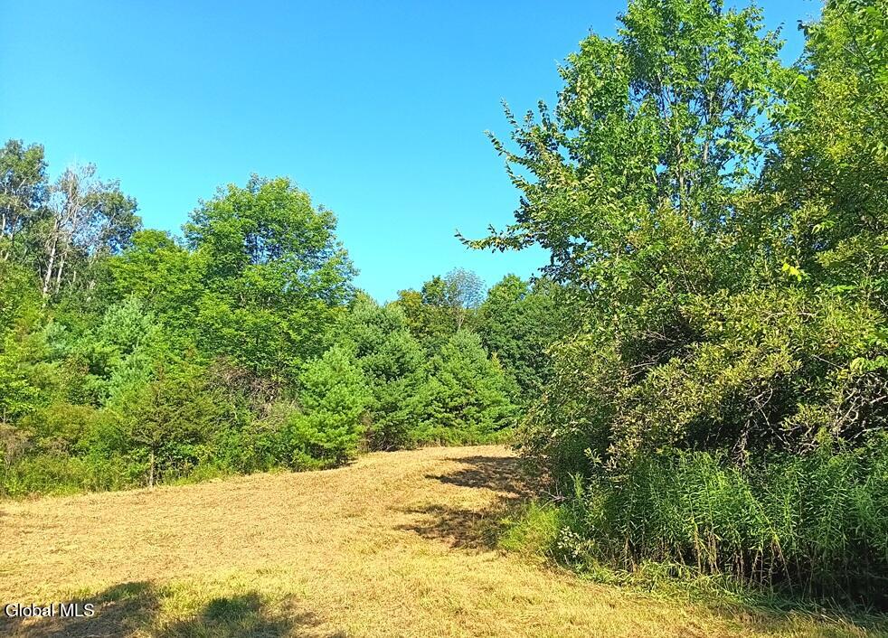 1585 Carlton Road Whitehall NY 12887