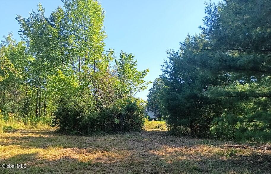 1585 Carlton Road Whitehall NY 12887