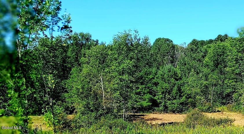 1585 Carlton Road Whitehall NY 12887