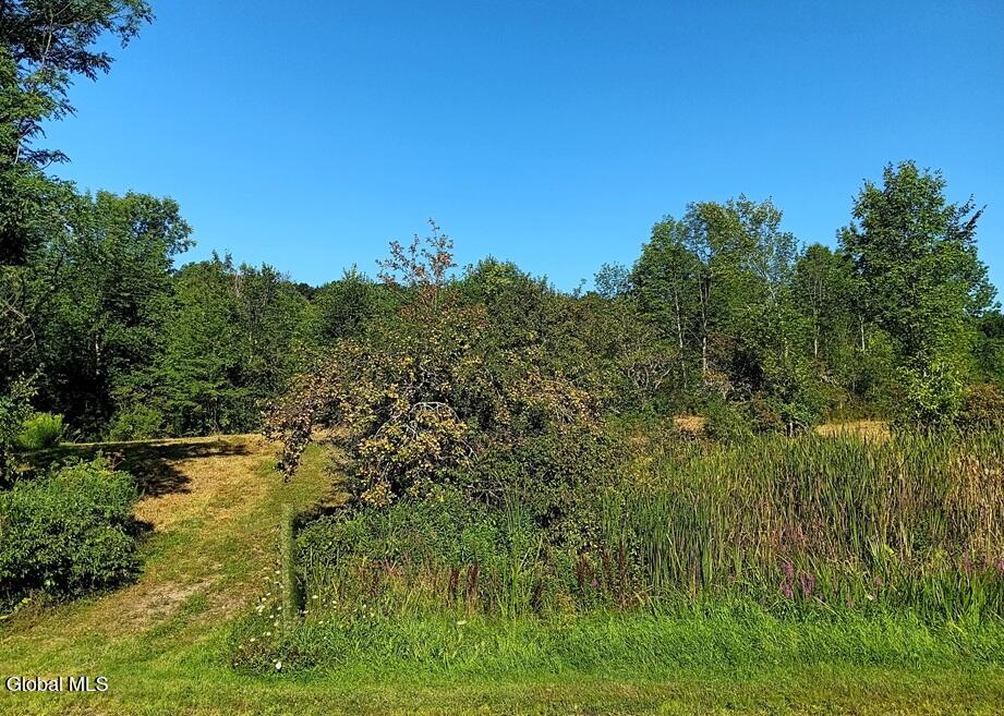 1585 Carlton Road Whitehall NY 12887